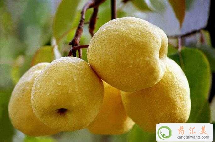 ׻֏(f)ڿԳ