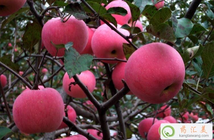 ׻֏(f)ڿԳO